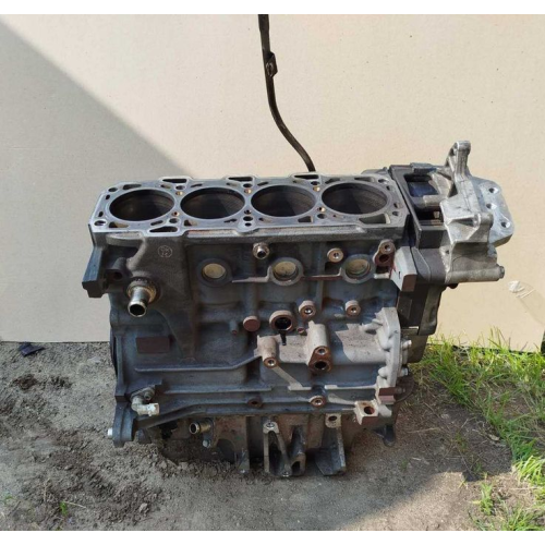 Двигун (мотор) Opel Astra H. Zafira B - 1.9CDTI (Z19DTH)