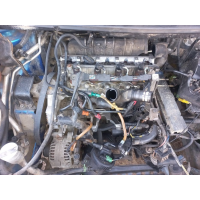 Розборка мотора Peugeot 2.0 hdi  DW10-EW10