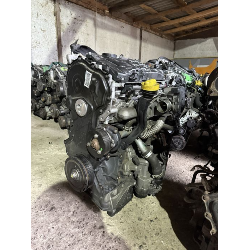 Двигун 2.0, Лагуна, 2007, 1995 см³, дизель  
Двигун 2.0, Кашкай, 2010, 1997 см³, бензин  
Двигун 2.0, Колеос, 2011, 1995 см³, дизель  
Двигун 2.0, Трафік, 2015, 1997 см³, дизель  
Двигун 2.0, Прімастар, 2014, 1995 см³, дизель  
Двигун 2.0, Віваро, 2016, 1