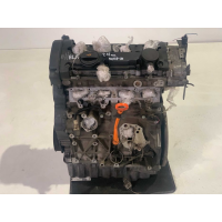 Двигун, Passat B6, 2005-2010, 2.0 л, бензин, BVY, BLR.