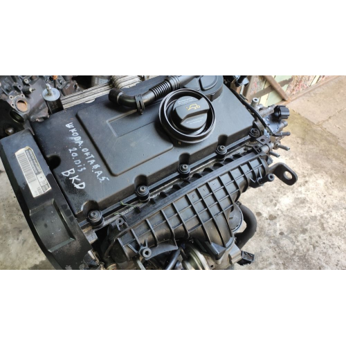 Двигун,мотор 2.0 TDI Volkswagen Passat B6 Skoda A5 BKD