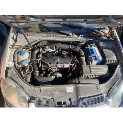 Двигун, Volkswagen Golf 5, 2003, 1.9 л, дизель.