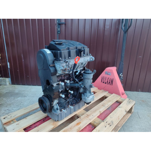 Двигун мотор BLS для Volkswagen 1.9 TDI, 2006 рік, об'єм 1.9 л, дизель.