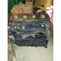 Блок двигуна Volkswagen Passat B6, 2.0 TDI, 2008 рік, 1968 см³, дизель.