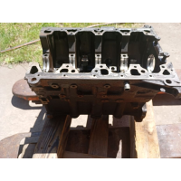 Блок двигуна з поршнями М47 2.0д, BMW, 2008, 2.0 л, дизель.