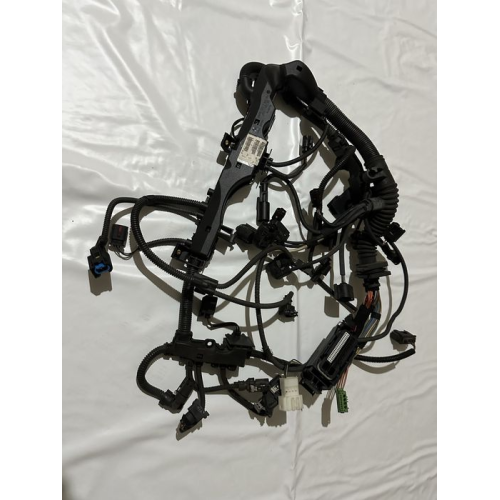 Джгут двигуна BMW 12517812425 DDE, 2014, 2.0 л дизель. Джгут двигуна BMW 12517812425 DDE, 2014, 2.0 л дизель.
