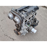 Двигун Ford Fiesta Mk7 1.6, 2012, бензин, 1.6 л.
