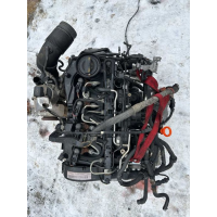 Двигатель 1.6 tdi CAYB для Skoda та VW, в наявності, українською, 2015 рік, дизель, об'єм 1.6 л.