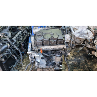 Двигун VW Caddy 1.9 TDI BLS, 2009, дизель, 1.9 л.