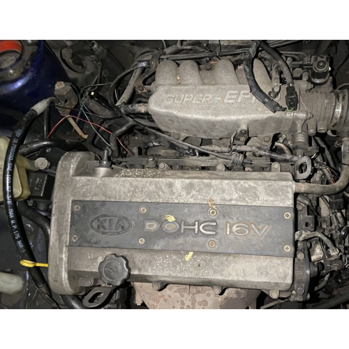 Двигун Kia Sefia/Shuma/Clarus 2 покоління 1.5л 16V 1998-2001. Двигун Kia Sefia/Shuma/Clarus 2 покоління 1.5л 16V 1998-2001.