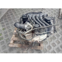 Двигун Volkswagen Golf 4 1.6 APF 8V, Audi A3 AKL, Bora AEH. 2000, 1.6 л, бензин.
