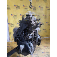 Двигун Nissan YD25 2.5 TDI для Navara та Pathfinder 2005-14.