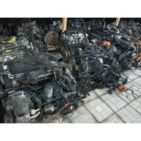 Двигун Volkswagen 1.9 BLS, BRR, 2.0 CBA, BMM, BMP. Дизель, 2005-2010 рр., об'єм 1.9 або 2.0 л.