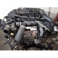 Двигун Citroen Berlingo 1.6 Hdi, 2015, 1.6 л, дизель. Volvo Ford 2.0 TDCi, 2018, 2.0 л, дизель.