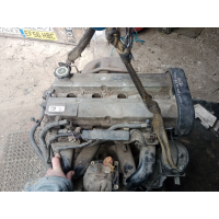 Двигун Ford Zetec 1.6, Escort Mondeo 2, Fiesta, випущений в Україні.