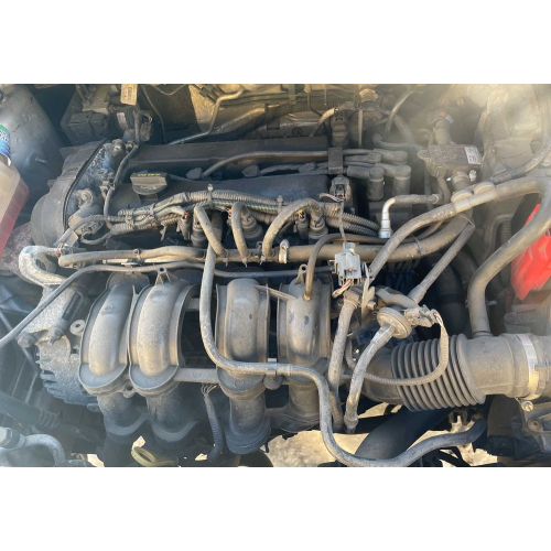 Двигун Ford Fiesta 1.6i 2013-17 D2BG6L084BA, бензин, 1.6 л. Двигун Ford Fiesta 1.6i 2013-17 D2BG6L084BA, бензин, 1.6 л.