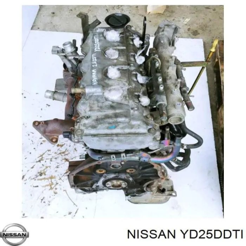 Двигун Nissan YD25DDTI, 2005, 2.5 л, дизель. Двигун Nissan YD25DDTI, 2005, 2.5 л, дизель.
