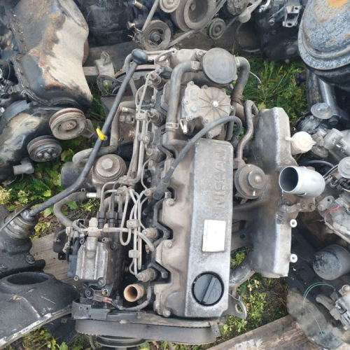 Двигун Nissan Patrol, Y61, 2005, 3.0 л дизель. Двигун Nissan Patrol, Y61, 2005, 3.0 л дизель.