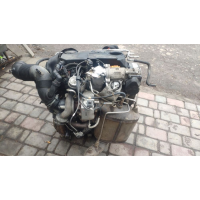 Двигун VW BLS Passat b6, Caddy3, Golf5, Octavia a5 AUDI a3 1.9 TDI, 2005, 1.9 л дизель.