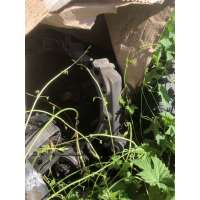 Коробка передач T4 2.4d Volkswagen Transporter 1990 2.4 л дизель.