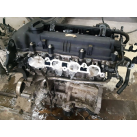 Двигун Hyundai, Kia G4FC, 2010, 1.6 л, бензин.