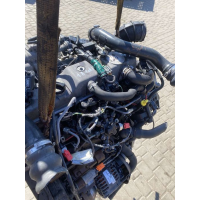 Двигун Ford Transit Connect 1.8 TDCi, 2006 рік, дизель, 1.8 л.