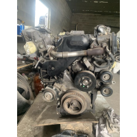 Двигун Nissan Navara D-40, YD25DDTi, 2005, 2.5 л, дизель.