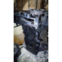 Блок двигуна Opel Y20DTH, 2005 рік, 2.0 л, дизель.