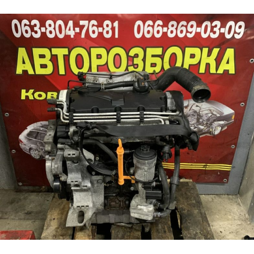 Двигун Volkswagen Caddy 2.0 SDI BST, 2005, 2.0 л, дизель. Двигун Volkswagen Caddy 2.0 SDI BST, 2005, 2.0 л, дизель.