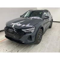 Двері Audi Q8 електро