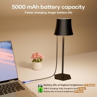 Настільна світлодіодна лампа LED Table Lamp IP54 5000 mAh USB-C
