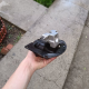 Опора двигателя Chrysler Stratus, Dodge Cirrus , Sebring, Neon...