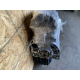 Двигун 2.0 N20B20A, BMW X1 E84, 2009-2015, 2.0 л, бензин.