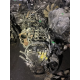 Двигун SH 2.2td Mazda CX5 2013—, об'єм 2.2 л, дизель. З Японії.