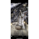 Двигун BMW M54B22, E39, E46, E60, 2000-2006, 2.2 л, газ/бензин.