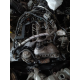 Двигун Z22D1, Captiva/Antara, 2006, 2.2 л, дизель. Роздатка АКПП 6T45, Captiva S140, ГБЦ.